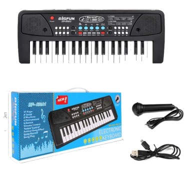 Bigfun Musical Electronic Keyboard Piano Bf-430a1 37 1 Year warranty with Mic, Power cable Keys Musical Electronic Keyboard Piano Organ with Microphone Mic Synthesizer