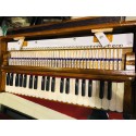 Nanda Brand Harmonium Serpina 2 Set/ Double reed with Bag | 2 Year Warranty Indian Serpina with Stick Keys Teak Wood  සර්පිනා 2 year warranty Stick Keys Teak Wood (Made With Premium Quality Reeds) indian harmonium keyboard traditional instrument