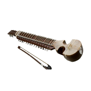 Professional Indian ...