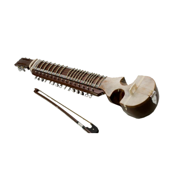 Professional Indian Esraj with Horse Hair Bow, Rosin & Carry Bag | Traditional Classical String Instrument for Devotional, Hindustani & Folk Music | Premium Wooden Body Esraj with Smooth Tuning Pegs & Rich Resonance Sound