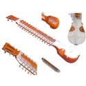 Professional Indian Esraj with Horse Hair Bow, Rosin & Carry Bag | Traditional Classical String Instrument for Devotional, Hindustani & Folk Music | Premium Wooden Body Esraj with Smooth Tuning Pegs & Rich Resonance Sound
