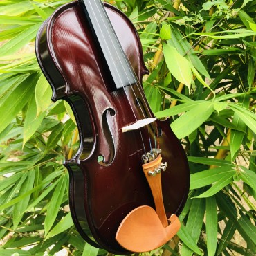 Brandurnburg 4/4 Size German Made Violin with Hard Case Rosin and bow BB 110 - Coffee Brown