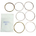 VEENA STRING SET PROFESSIONAL QUALITY 7 pcs Strings PARTS AND ACCESSORIES veena Strings