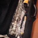 Lark Alto Saxophone Straight Brass Lacquered Gold/ Silver Taiwan with Hard case, Mouthpiece, Reed, Belt, Cloth, Gloves Alto Saxophone is Suitable for Beginners to Test The Level of Professional Playing Wind Instrument Saxophone