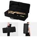 Alto Saxophone Straight E-Flat Brass Lacquered Gold/ Silver Taiwan with Hard case, Mouthpiece, Reed, Belt, Cloth, Gloves Alto 