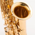 Alto Saxophone Straight E-Flat Brass Lacquered Gold/ Silver Taiwan with Hard case, Mouthpiece, Reed, Belt, Cloth, Gloves Alto 