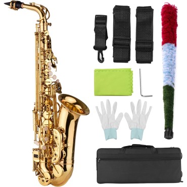 Alto Saxophone Straight E-Flat Brass Lacquered Gold/ Silver Taiwan with Hard case, Mouthpiece, Reed, Belt, Cloth, Gloves Alto 