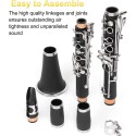 Lark Brand Bb Clarinet B Flat – Beginner Student 17 Nickel Keys Clarinet with Nickel-Plated Keys for School Band & Orchestra, Adults & Kids, Complete Set with Hard Case, Stand, Cleaning Kit, Barrels, Gloves, Strap, Pads & Reeds