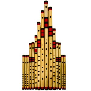 Fine Tuned Bamboo Fl...