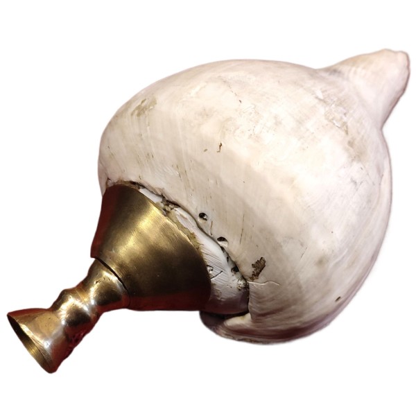 Sri Lankan Traditional Hakgediya Blowing Conch Shell with Brass Mouthpiece | Hakgediya (හක්ගෙඩිය) Large Sea Mollusk Shell Trumpet | Cultural Instrument for Festivals, Weddings & Auspicious Ceremonies | Traditional Blowing Conch Shell