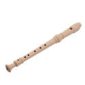 8 Holes High Pitch Soprano Recorder Flute with Case, Cleaning Stick, Manual