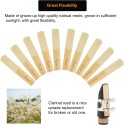 1 pc Rico 2.0 2.5 3.0 Clarinet reed D’Addario Woodwinds Bb Clarinet Reeds - Reeds for Clarinet - Thinner Vamp Cut & Unfiled for Ease of Play, Traditional Blank for Clear Sound - Clarinet Reeds 2.5 Strength