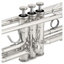 LARK Bb Trumpet with hard Case Professional Trumpet for Student, Brass Instruments Standard Trumpet Set, with Professional Trumpet Box, Cleaning Kit, Original 7C trumpet Mouthpiece (Silver)