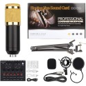 8Pcs set V8 Sound Card Professionel Microphone Studio Mic Condensador studio bundle BM-800